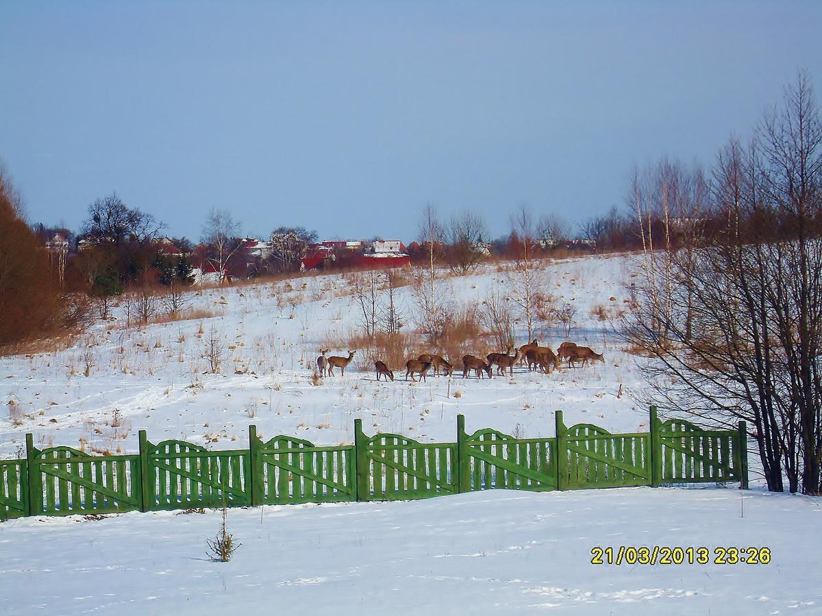 Mazurska Chata Jezioro I Aquapark 6 Min, Centrum I Promenada 12 Min Mikołajki Exteriör bild